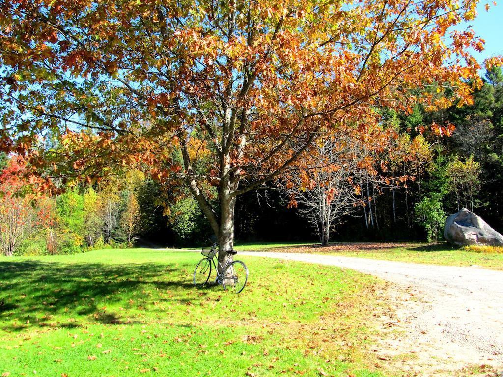 Chalet Rustique Crds Tremblant Lac Superieur
